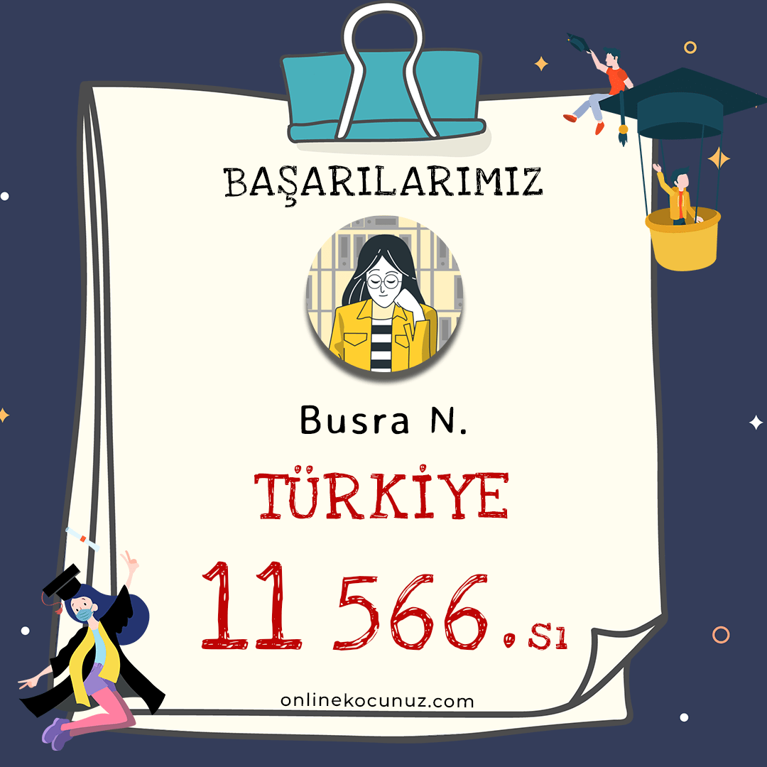 11566-min